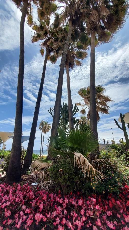 Apartamento A 150 Metros De La Playa Y Del Puerto Deportivo Estepona Exteriör bild