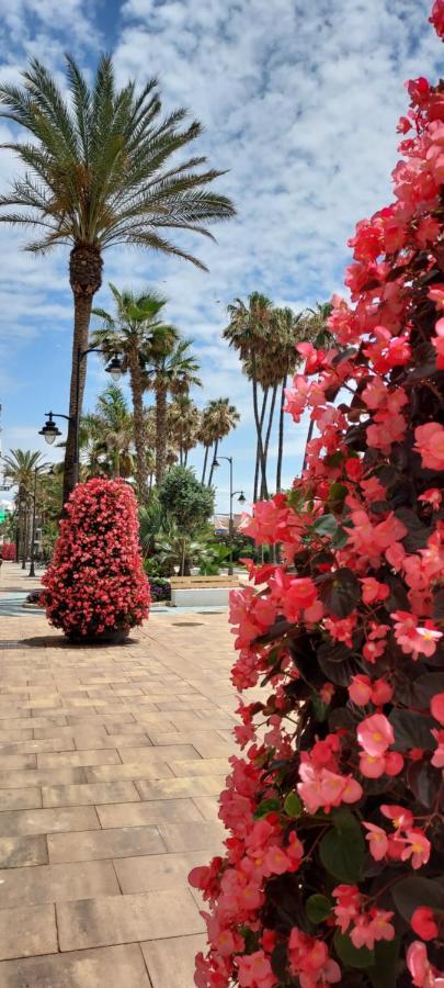 Apartamento A 150 Metros De La Playa Y Del Puerto Deportivo Estepona Exteriör bild